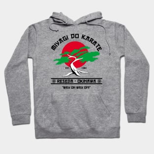 Miyagi do karate Hoodie